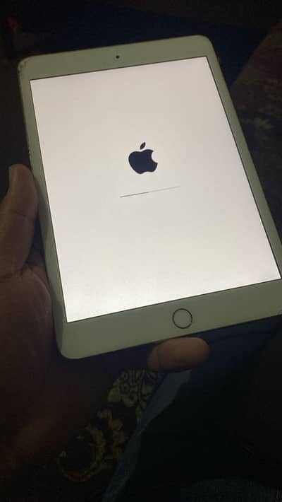ipad mini 3