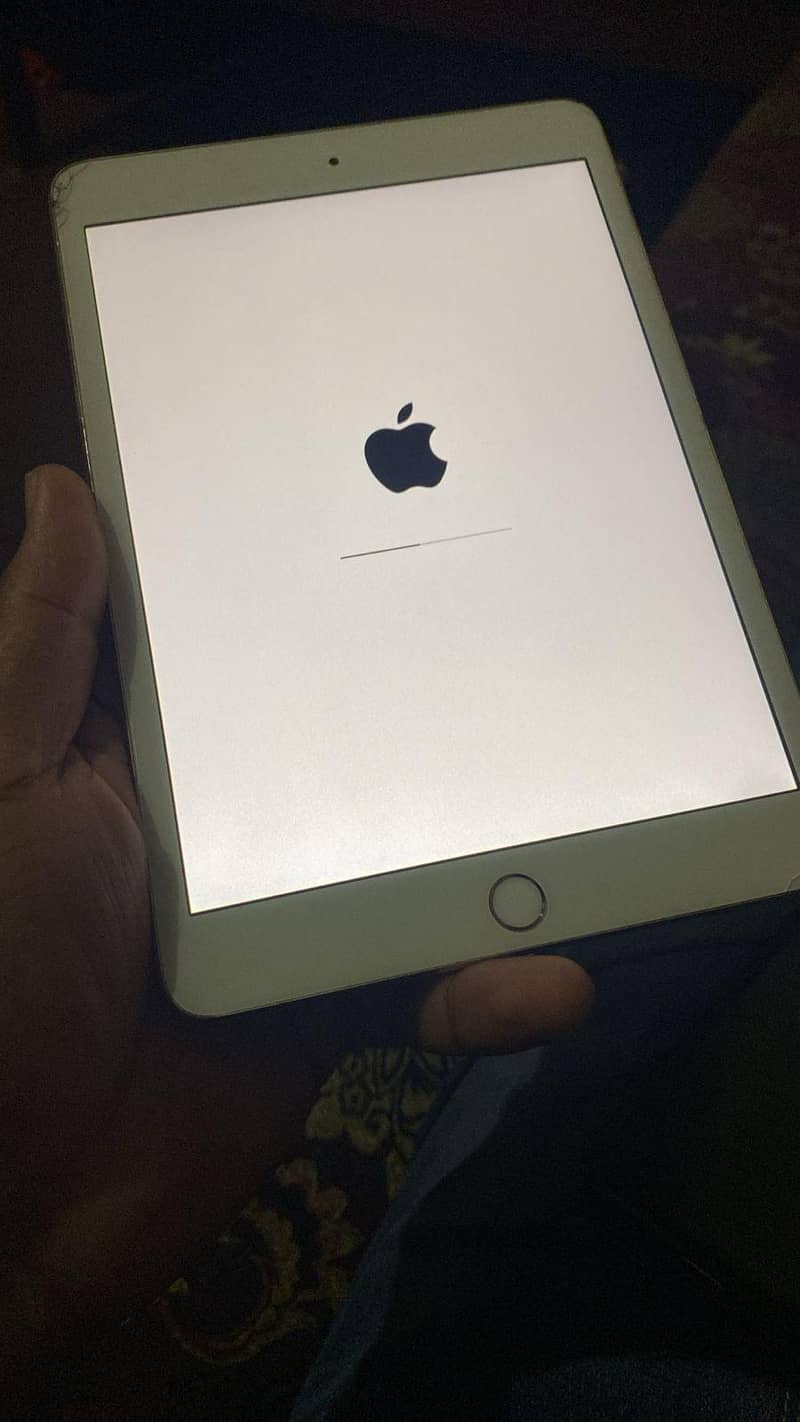 ipad mini 3 0