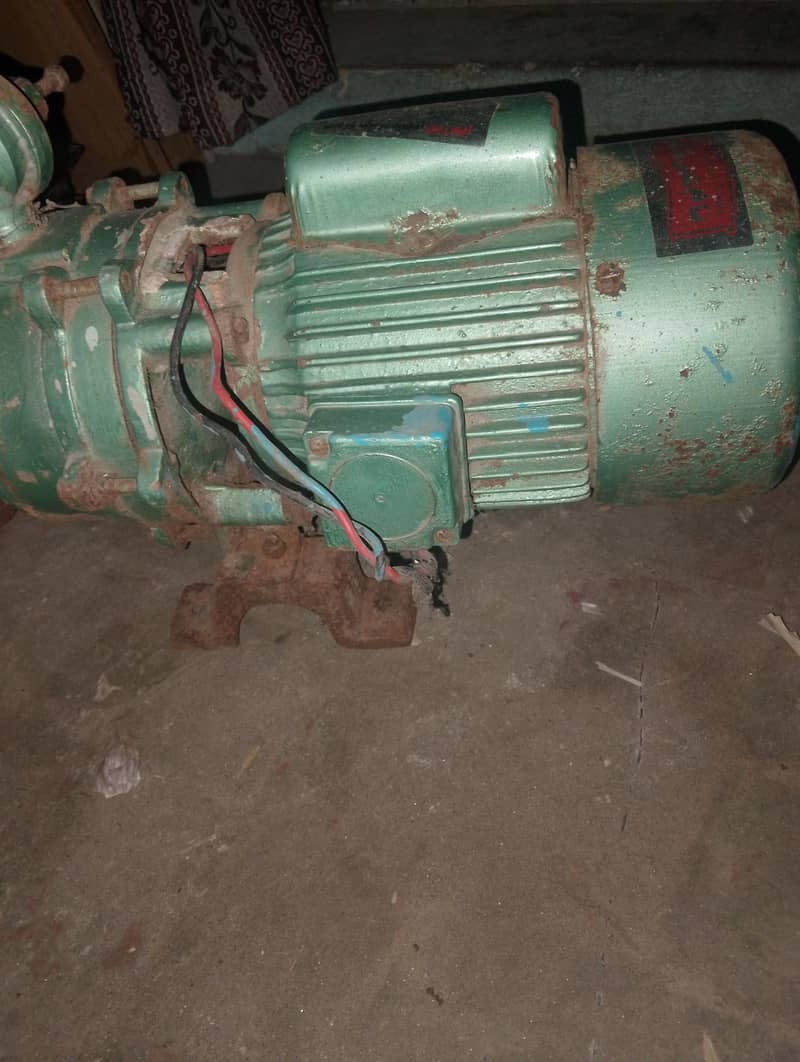 single impeller pump 1