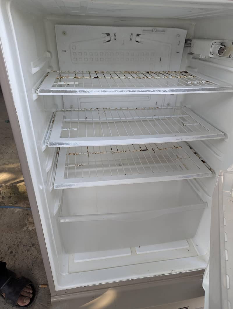 fridge 3