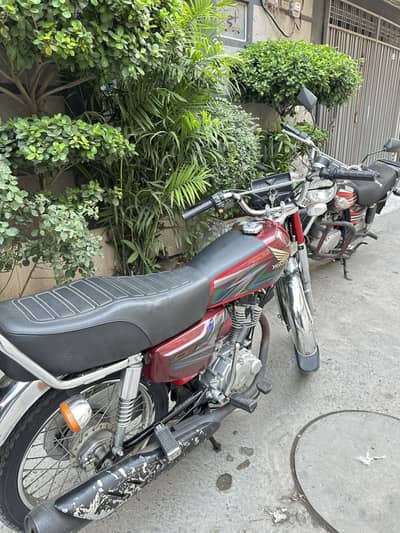 Cd 125