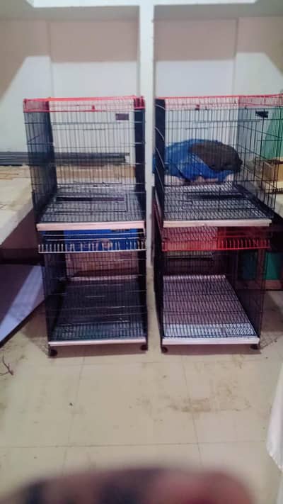 Bird and Hen Cage