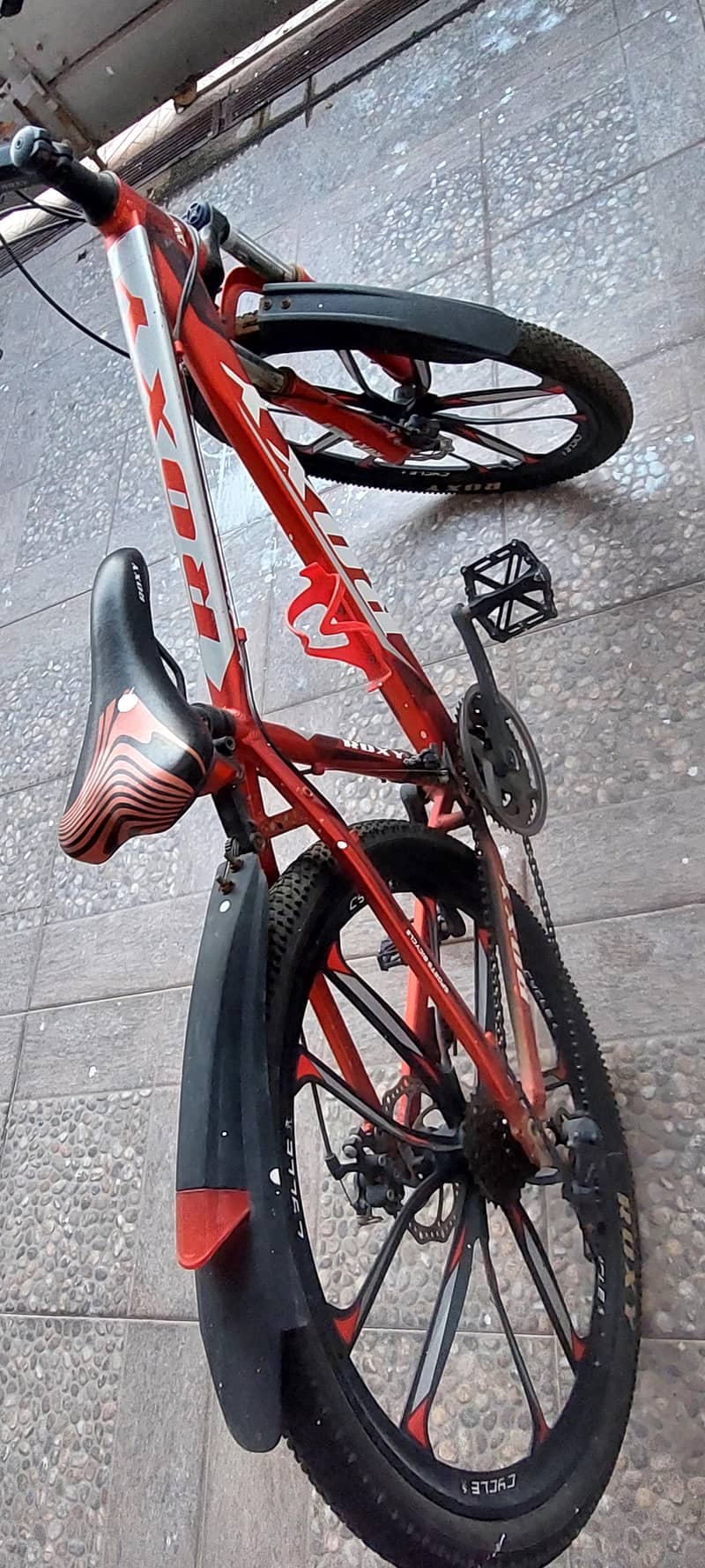 Roxy bike 1