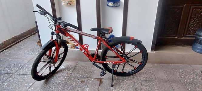 Roxy bike