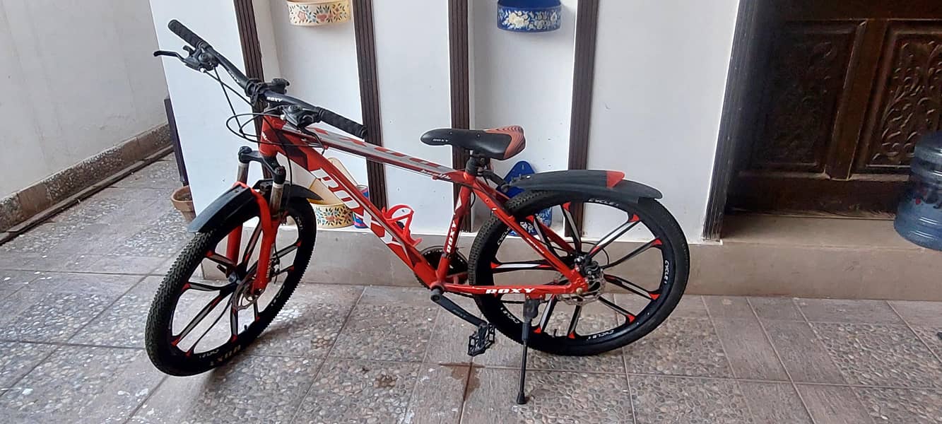 Roxy bike 0