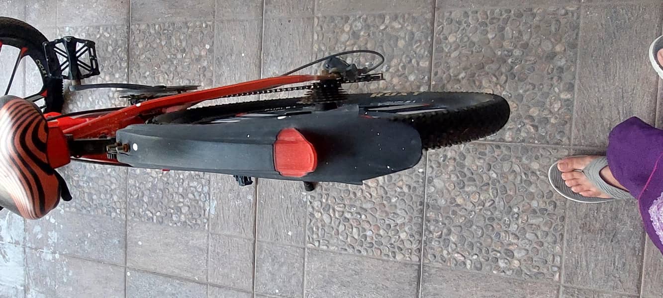 Roxy bike 2