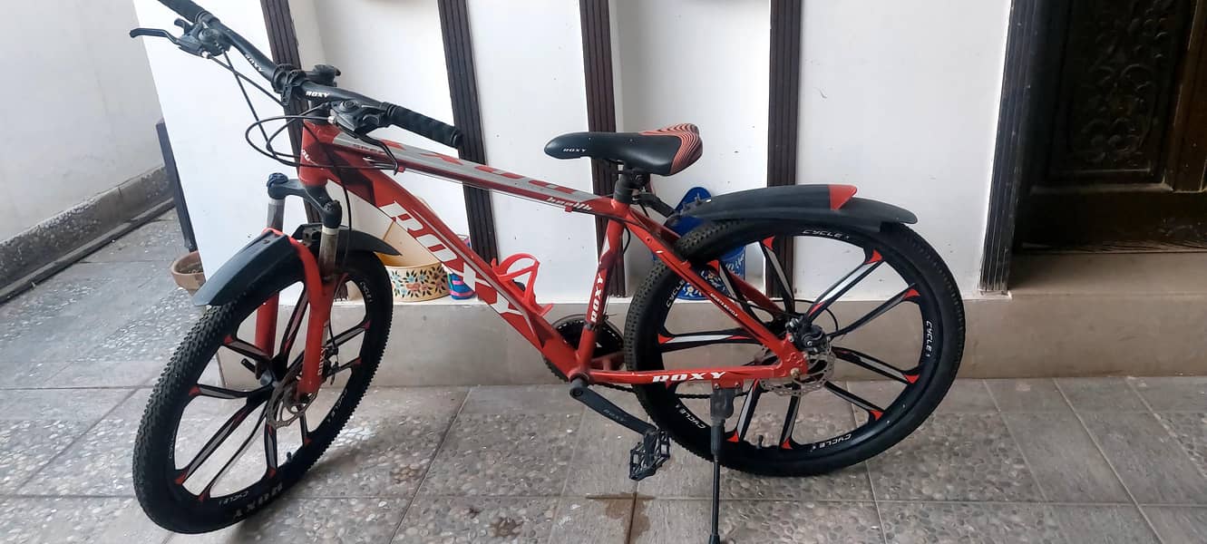 Roxy bike 3