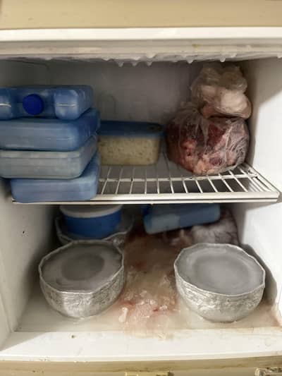 pel freezer 10.9 condition all k ha har cheez original ha