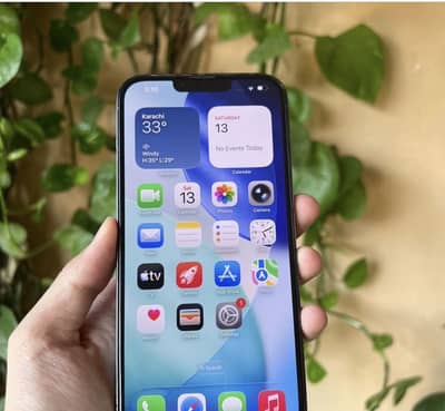 Apple iPhone 13 Pro Max