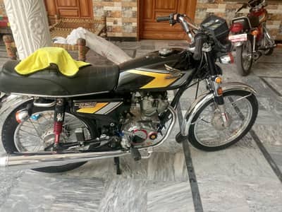 1992 pandi number