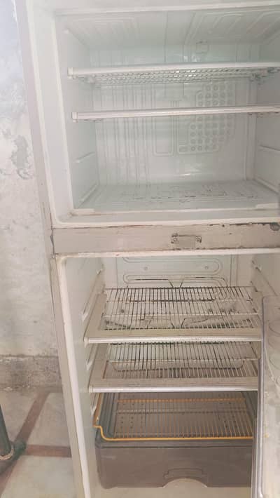 Fridge