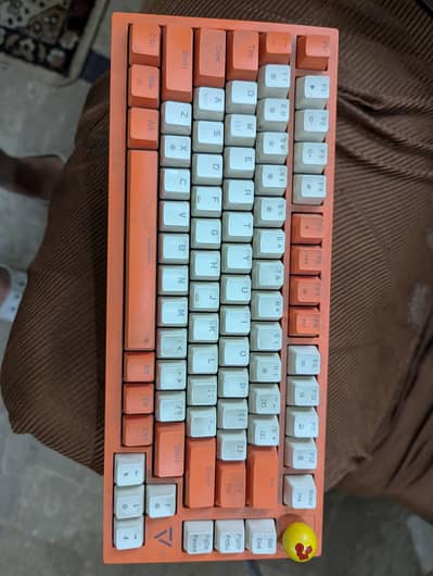 RGB Mechanical Keyboard Hot Swappable Switches
