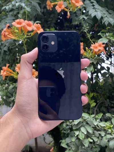 Apple iPhone 12 PTA Approved 128gb