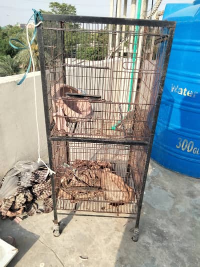 parrot cage