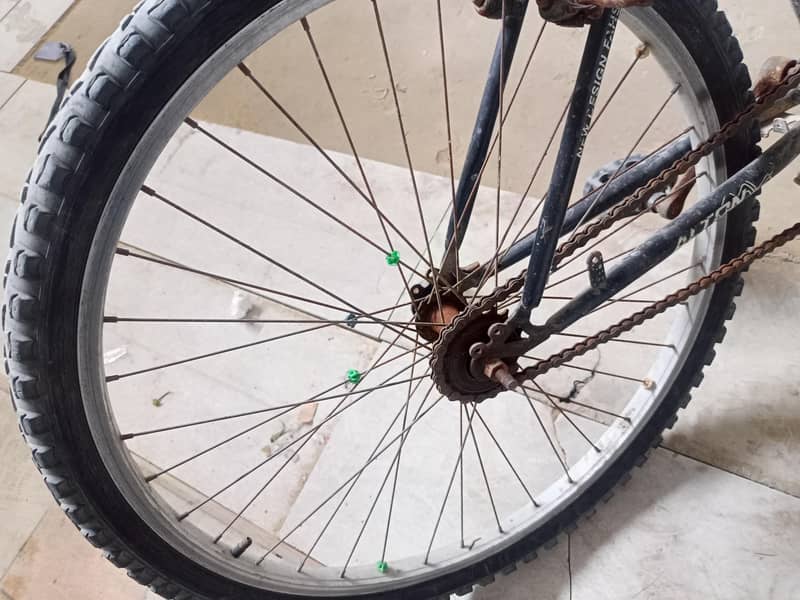 Cycle 2