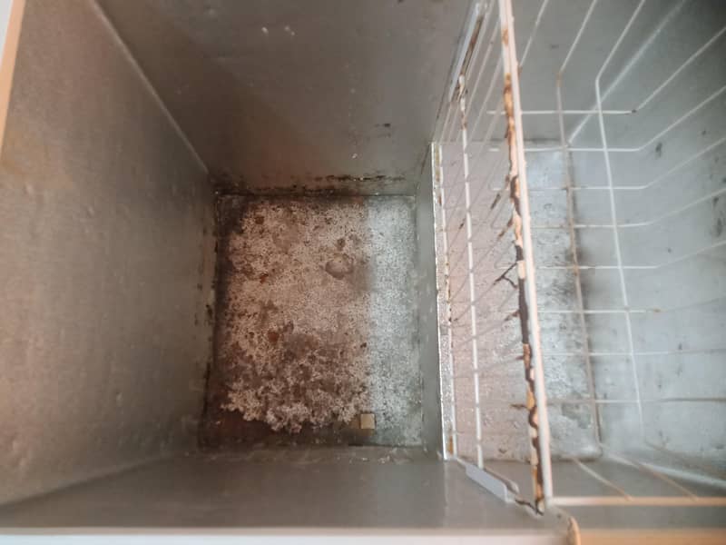 deep freezer 1
