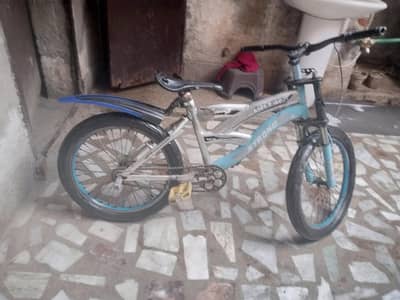 candeshane new