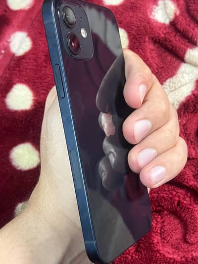 Apple iPhone 12