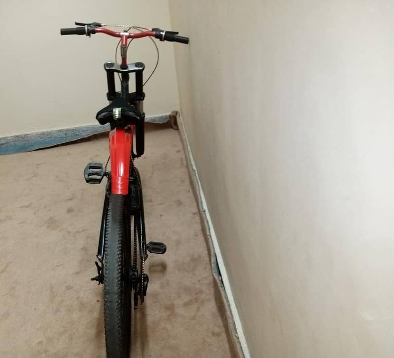 Bicycle 1