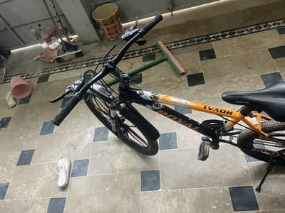 Royal 26 inch imported royal bicycle