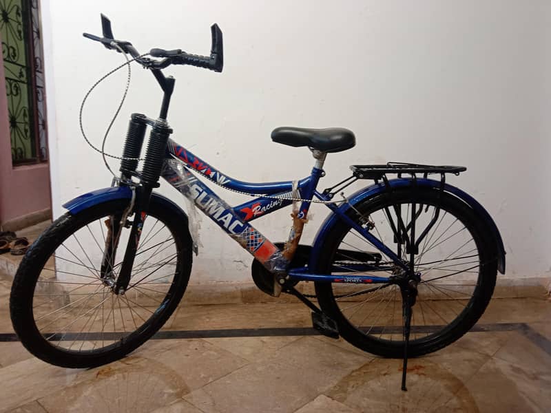 Bicycle 1