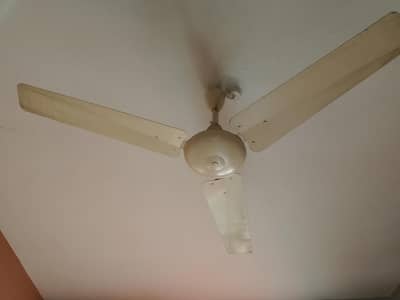56 Inch Ceiling Fan for Sale