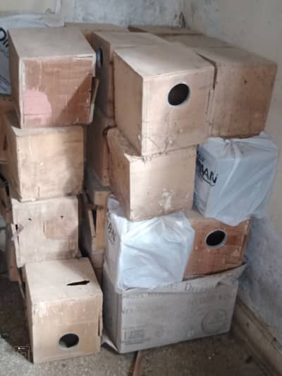 Breeding box