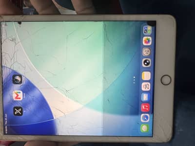 Ipad mini 5 256gb l