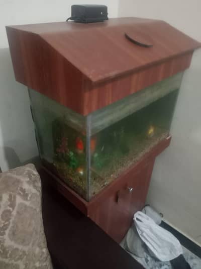 Aquarium