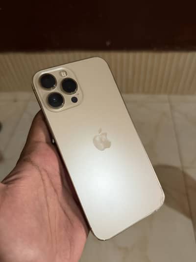 Apple iPhone 13 Pro Max F/U 256