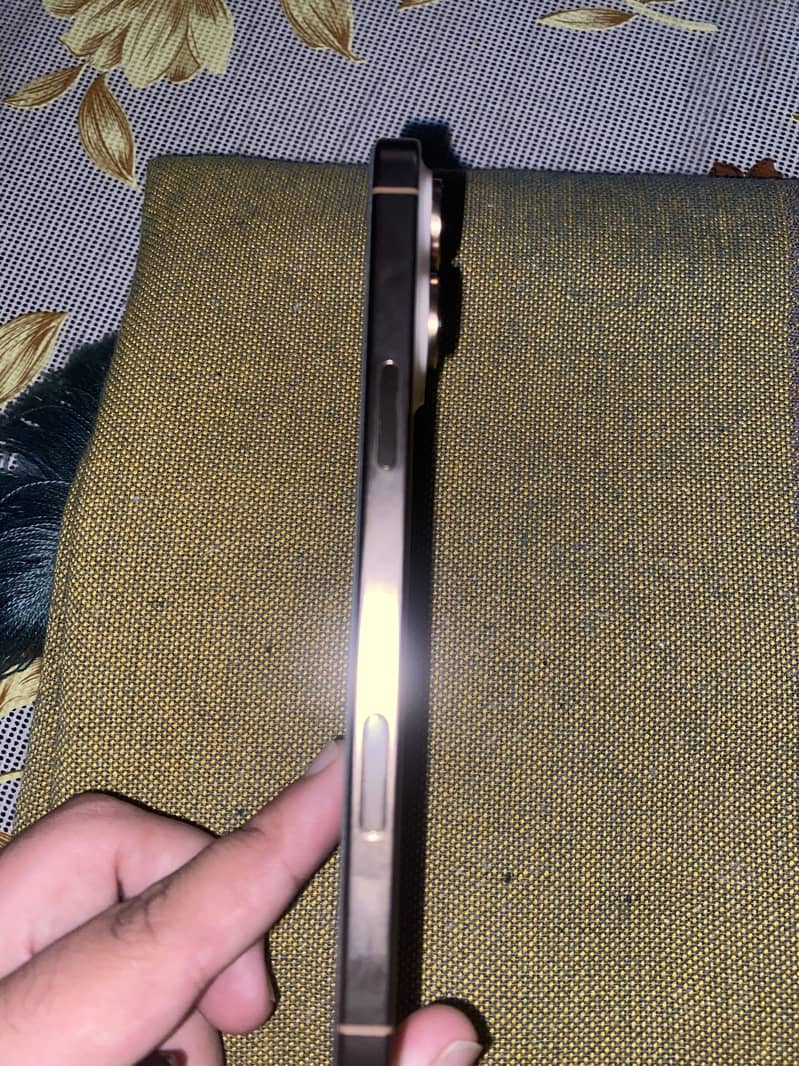 Apple iPhone 16 Pro Max 2