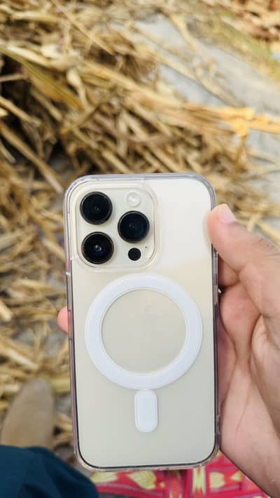 IPhone 14 Pro 256Gb [bypas]