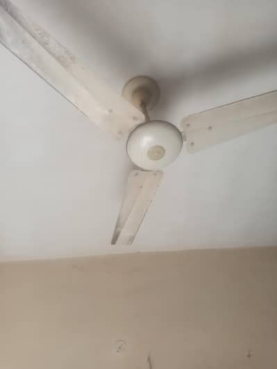 2 Fan hai 100% Copper Winding Super Asia