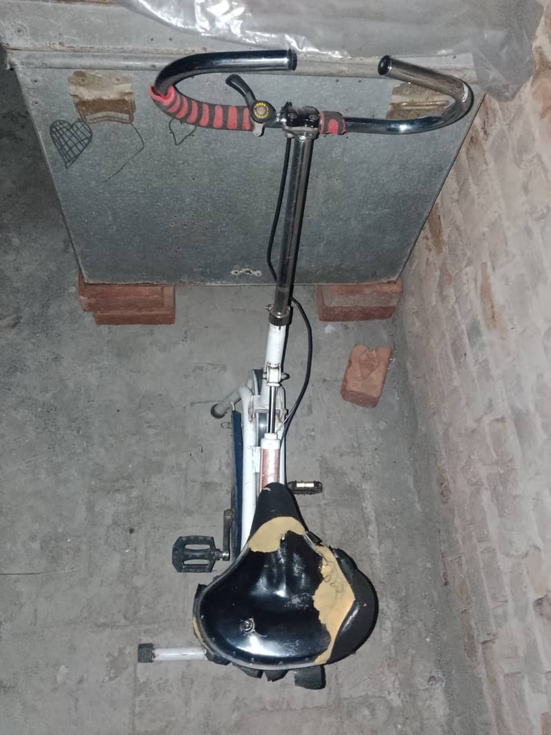 Exercise cycle 1