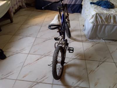 Cycle