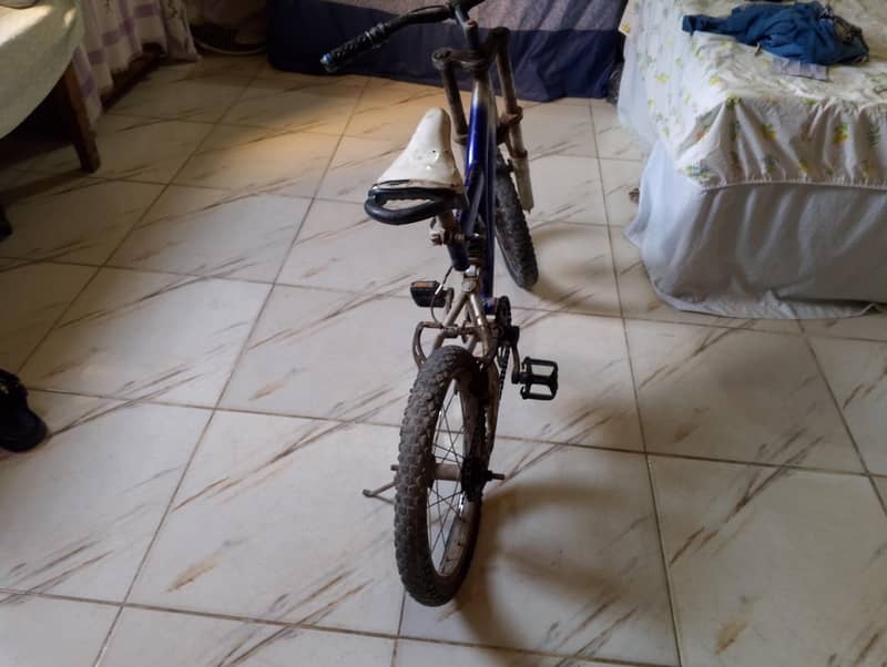 Cycle 0