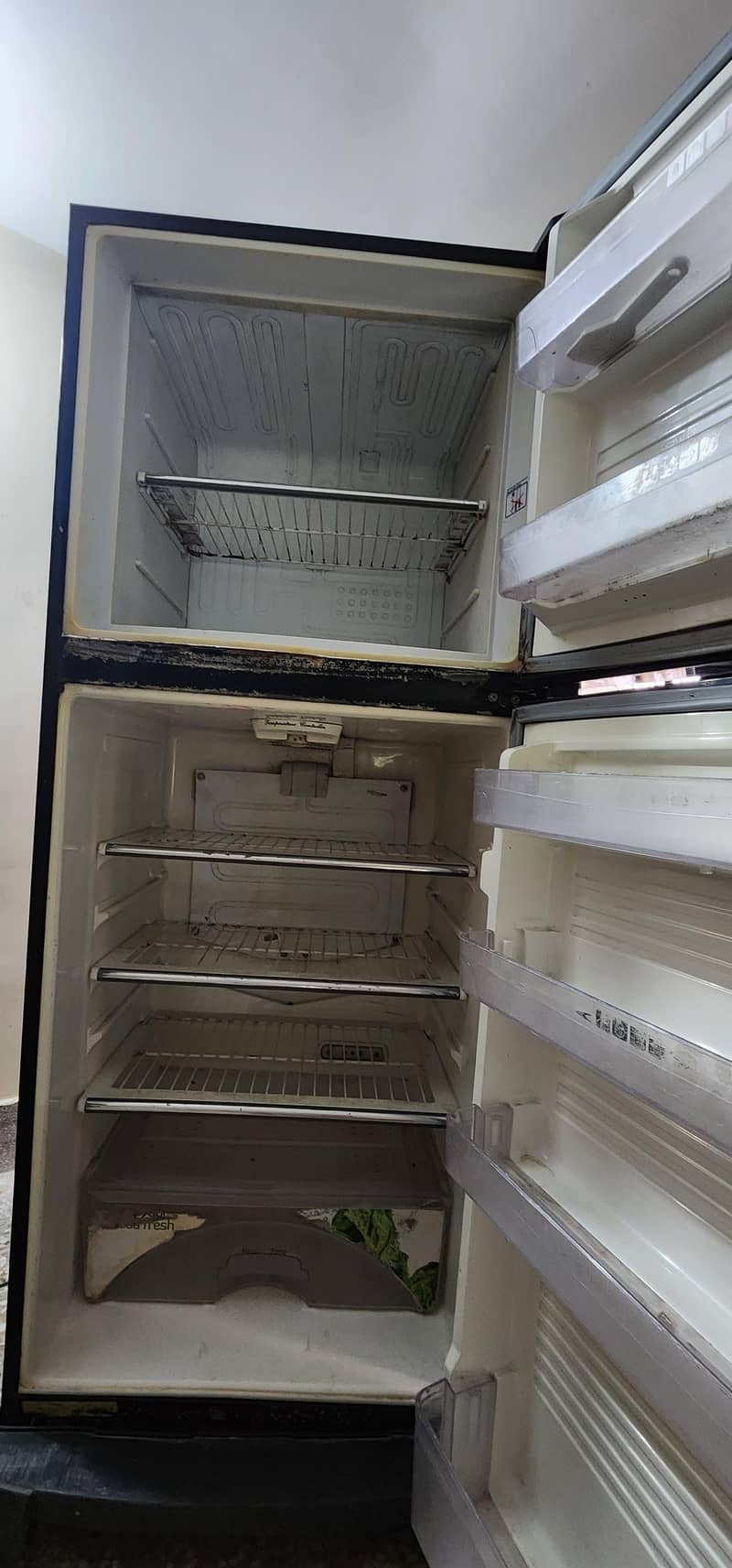fridge 5