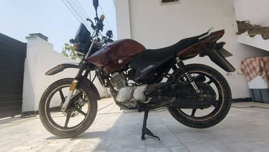 Yamaha YBR 125G 2024(Oct 2024 Invoice)