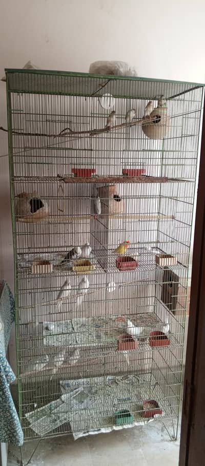 Selling my 4 portion large cage.