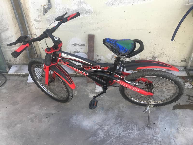Bicycle 1
