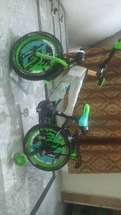 new scyle