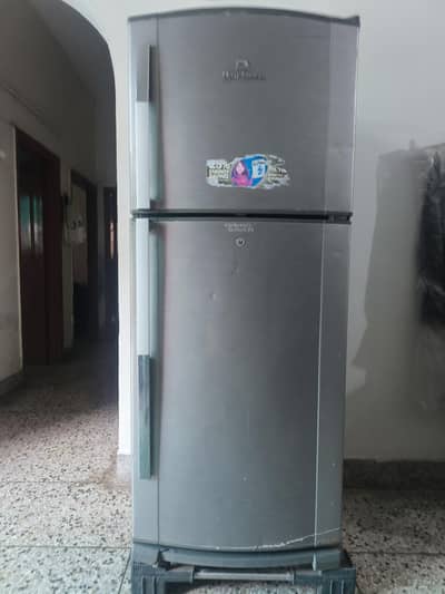 Dawlamce Refrigerator Full Size Good Condition