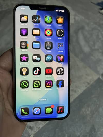 Apple iPhone 12 Pro Max