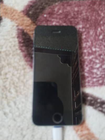 Apple iPhone 5s