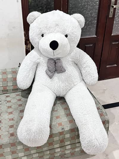Teddy bear(soft enough to hug)
