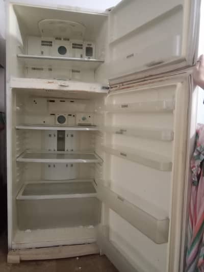 large size frige