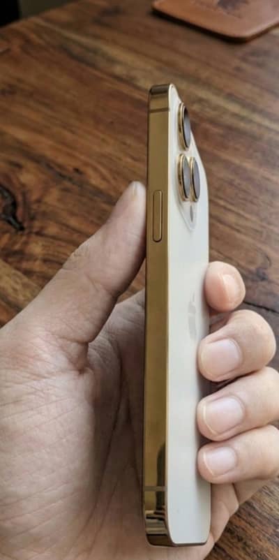 Apple iPhone 13 Pro jv