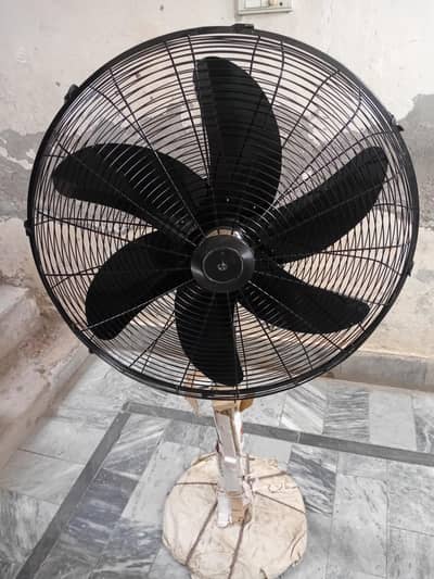 pk fans