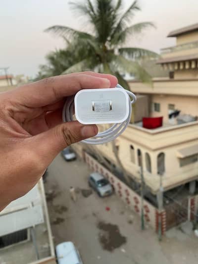 apple iphone 100 original 20 watt fast charger for sale. . .