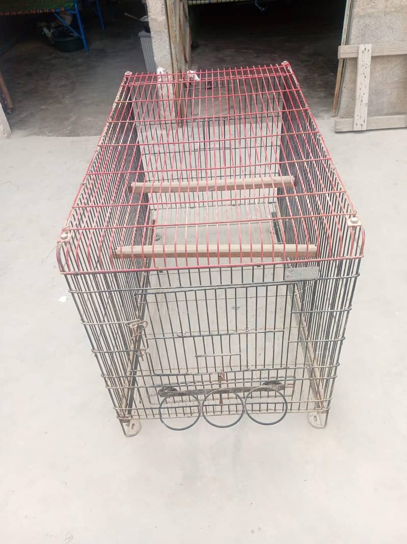 cage for sale 4